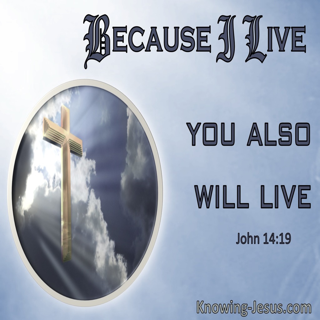 John 14:19 Because I Live You Will Also Live (windows)01:12